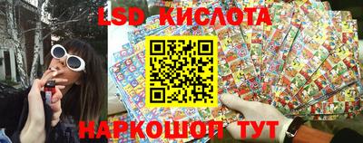 крисы Кингисепп