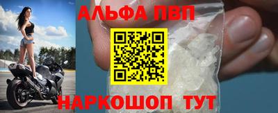крисы Кингисепп
