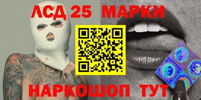 крисы Кингисепп