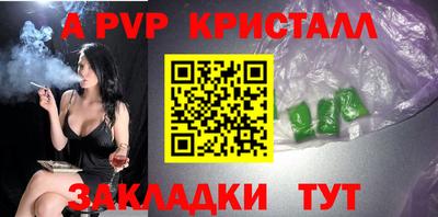 крисы Кингисепп