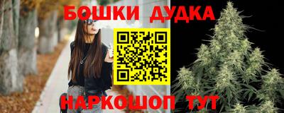 крисы Кингисепп