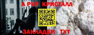 крисы Кингисепп