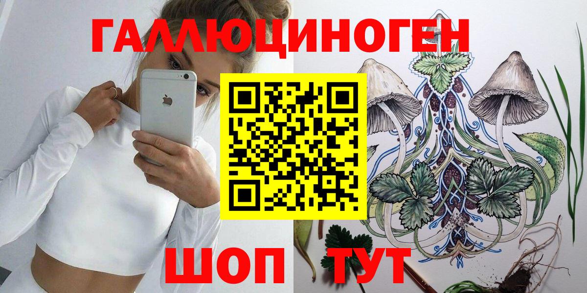 Темрюк  Галлюциногенные грибы Magic Shrooms  Вход с VPN 
